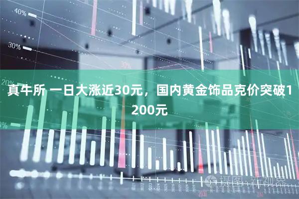 真牛所 一日大涨近30元，国内黄金饰品克价突破1200元