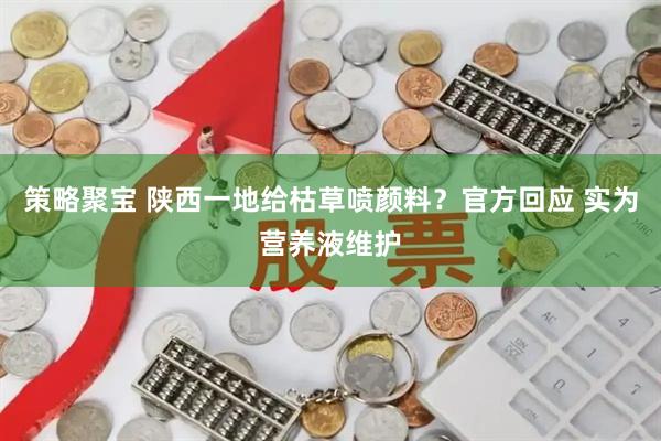 策略聚宝 陕西一地给枯草喷颜料？官方回应 实为营养液维护