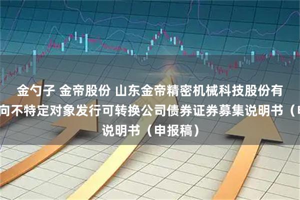 金勺子 金帝股份 山东金帝精密机械科技股份有限公司向不特定对象发行可转换公司债券证券募集说明书（申报稿）